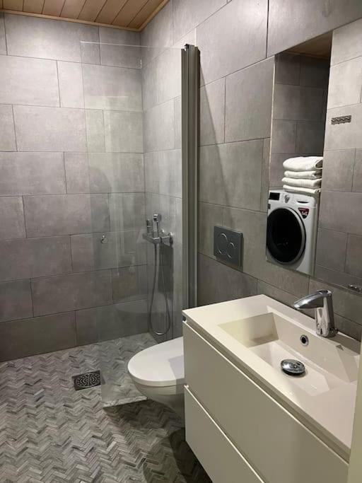 Arctic Circle Guesthouse Ροβανιέμι Εξωτερικό φωτογραφία